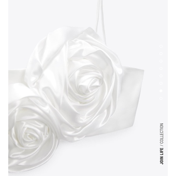 *last one*Zara BLOGGERS FAV floral appliqué crop top - Picture 5 of 7